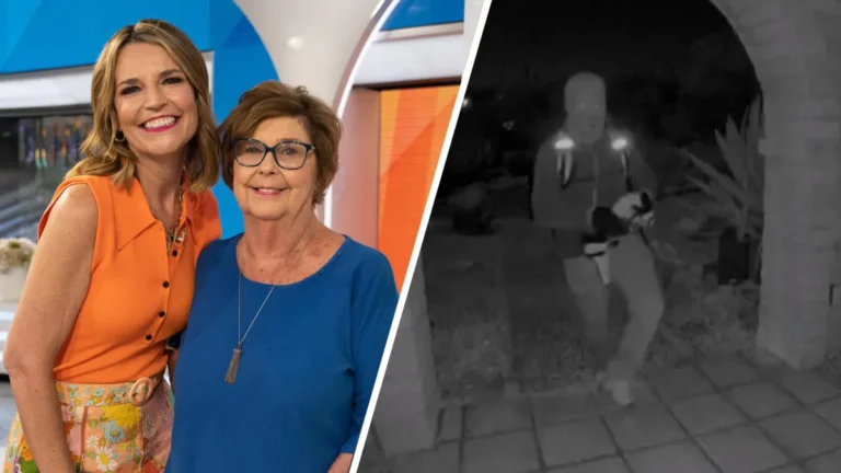 nancy guthrie update